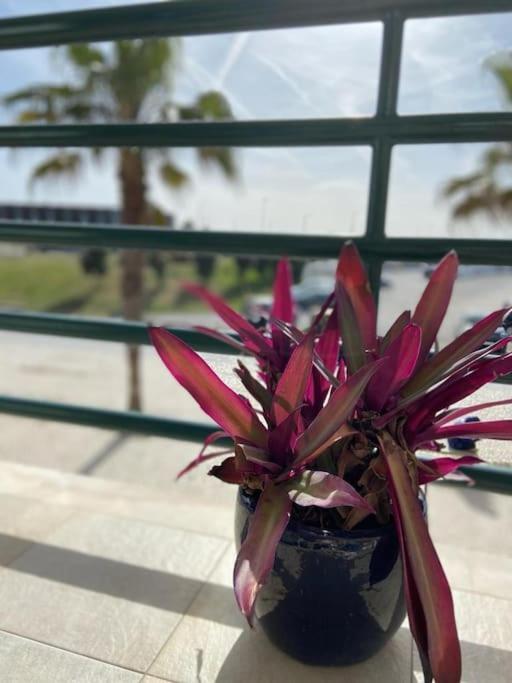 Atlantic Lodge, 1ª Linha De Praia! كوستا دا كاباريكا المظهر الخارجي الصورة